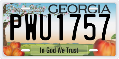 GA license plate PWU1757