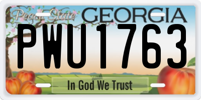 GA license plate PWU1763