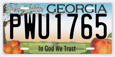GA license plate PWU1765