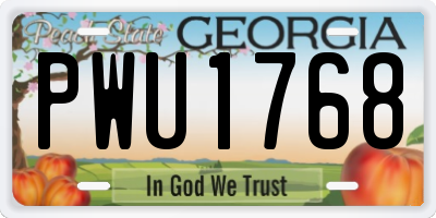 GA license plate PWU1768