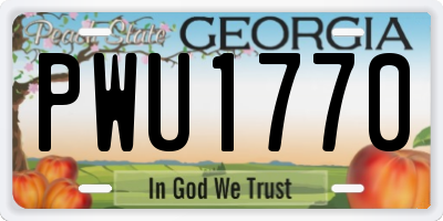 GA license plate PWU1770