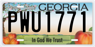 GA license plate PWU1771