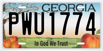 GA license plate PWU1774