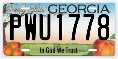 GA license plate PWU1778
