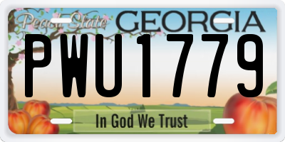GA license plate PWU1779