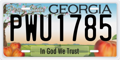 GA license plate PWU1785