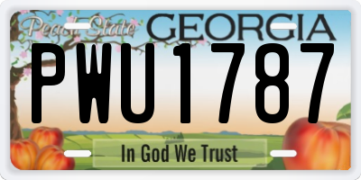 GA license plate PWU1787