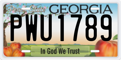 GA license plate PWU1789