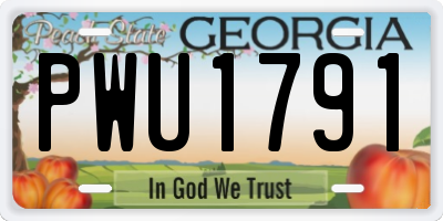 GA license plate PWU1791