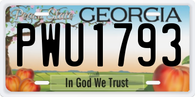 GA license plate PWU1793