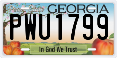 GA license plate PWU1799