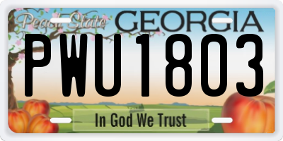 GA license plate PWU1803