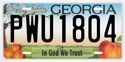 GA license plate PWU1804