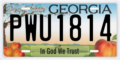 GA license plate PWU1814