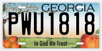 GA license plate PWU1818