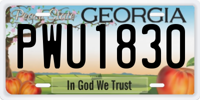 GA license plate PWU1830