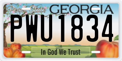 GA license plate PWU1834