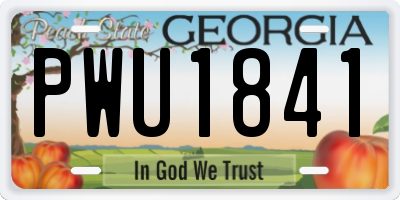 GA license plate PWU1841