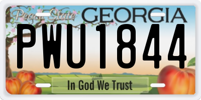 GA license plate PWU1844