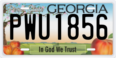 GA license plate PWU1856