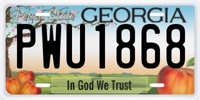 GA license plate PWU1868