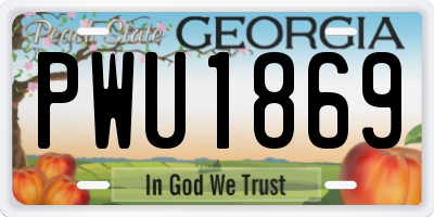 GA license plate PWU1869