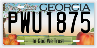 GA license plate PWU1875