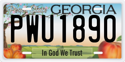 GA license plate PWU1890