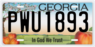 GA license plate PWU1893