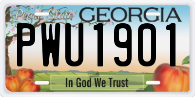 GA license plate PWU1901