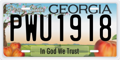 GA license plate PWU1918