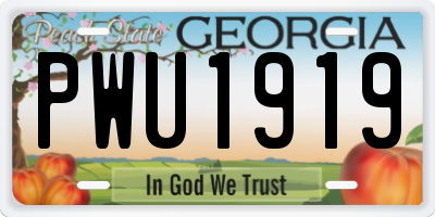 GA license plate PWU1919