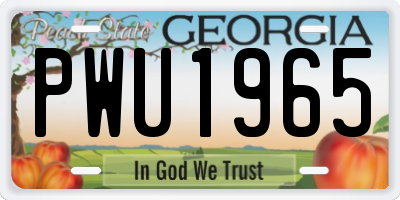 GA license plate PWU1965