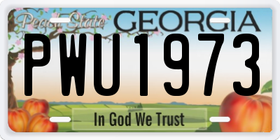GA license plate PWU1973