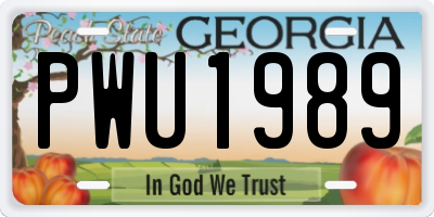 GA license plate PWU1989