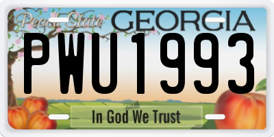 GA license plate PWU1993