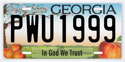 GA license plate PWU1999