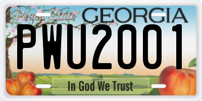 GA license plate PWU2001