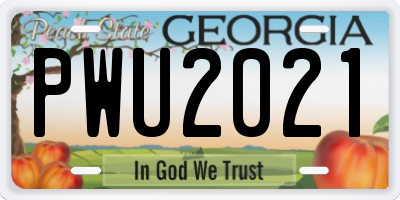 GA license plate PWU2021