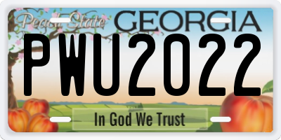 GA license plate PWU2022