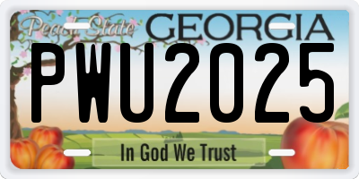GA license plate PWU2025