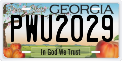 GA license plate PWU2029