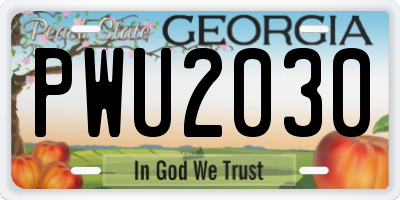GA license plate PWU2030