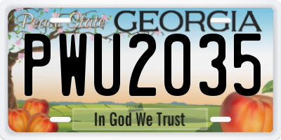 GA license plate PWU2035