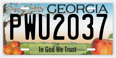 GA license plate PWU2037