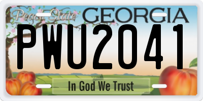 GA license plate PWU2041