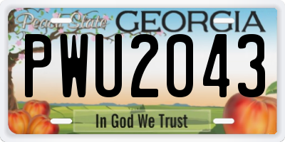 GA license plate PWU2043