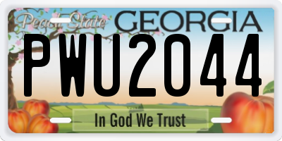 GA license plate PWU2044