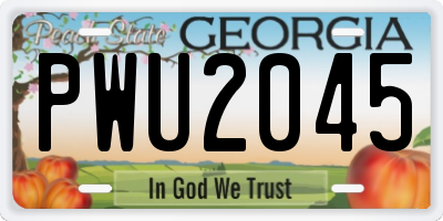 GA license plate PWU2045