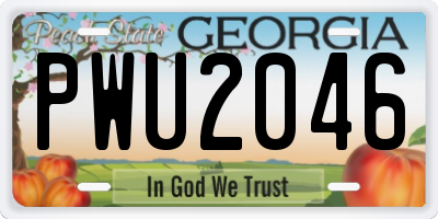 GA license plate PWU2046